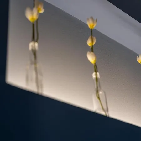 Cozy Corner - Stylish Volos