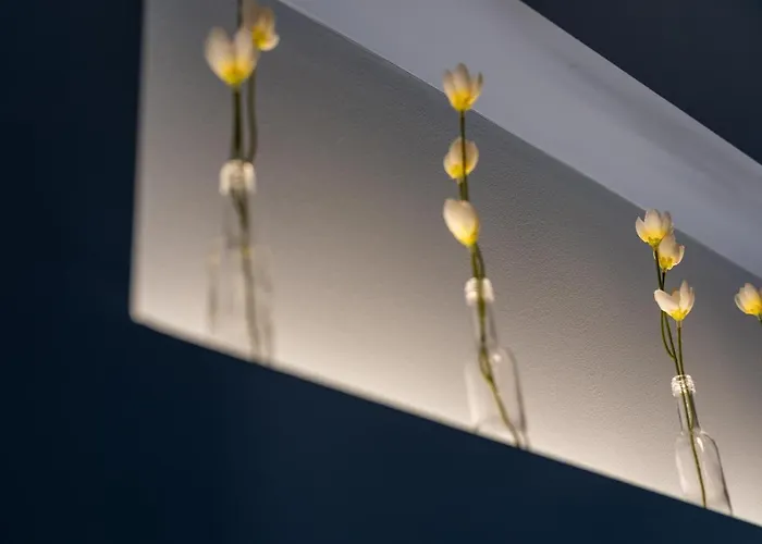 Cozy Corner - Stylish Volos